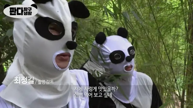 흡사 팬더 강도단이 된 PD들